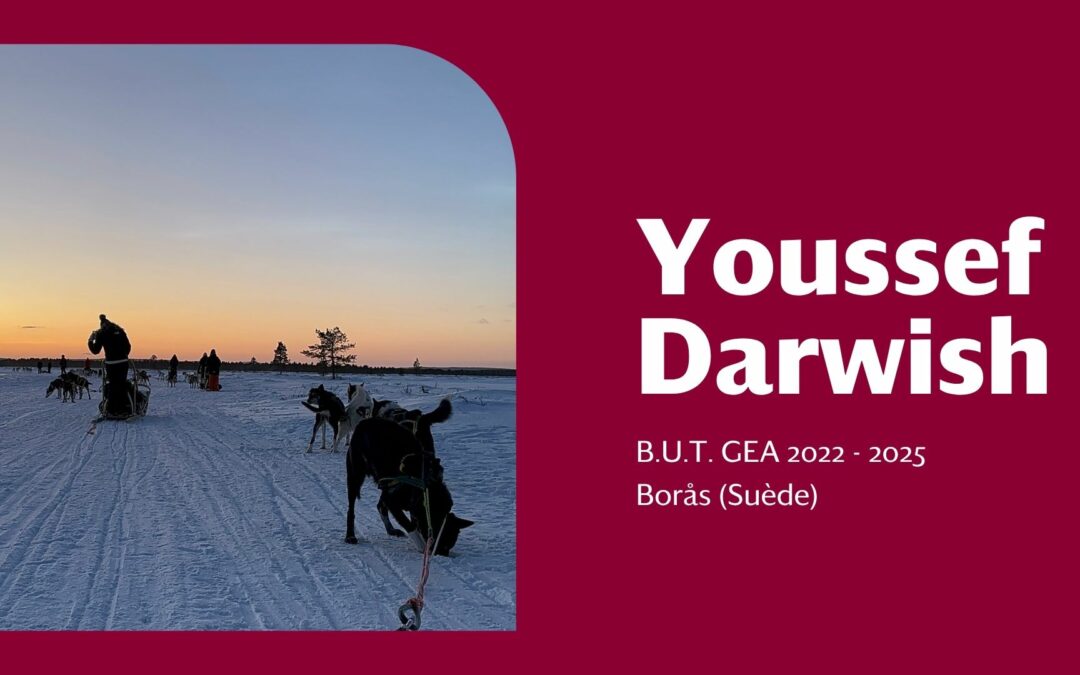 [TÉMOIGNAGE] Youssef Darwish nous raconte sa mobilité à Borås